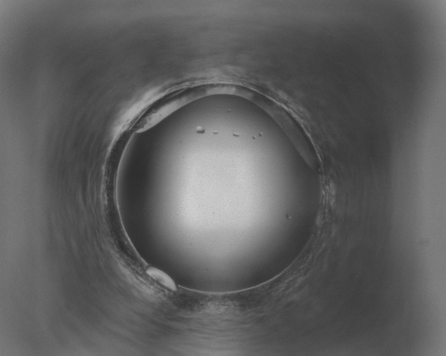 X0000077310248200610271651