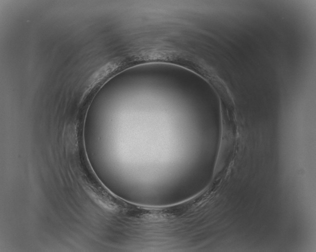 X0000077310250200610271651