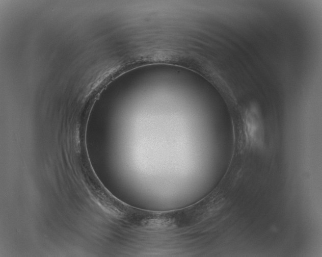 X0000077310251200610271651