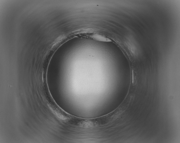 X0000077310253200610271651