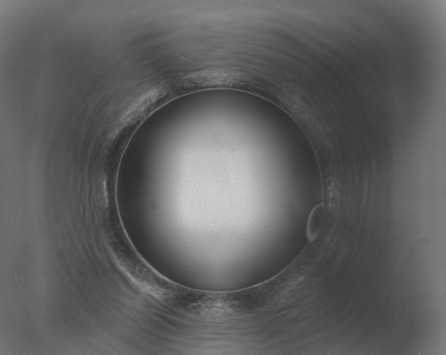 X0000077310254200610271651