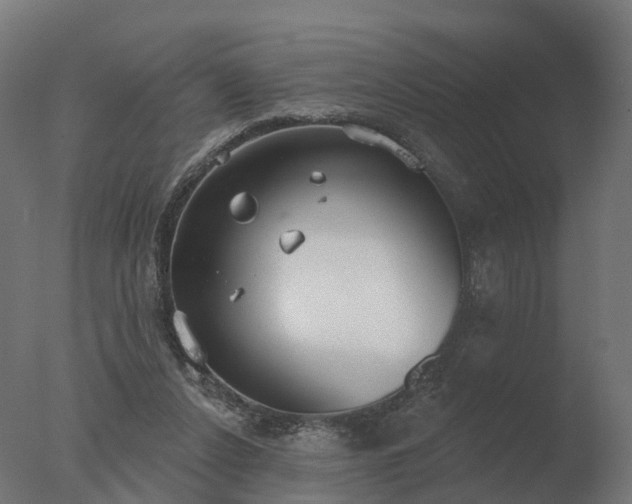 X0000077310256200610271651