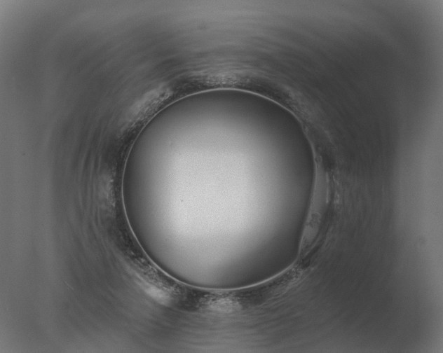 X0000077310258200610271651