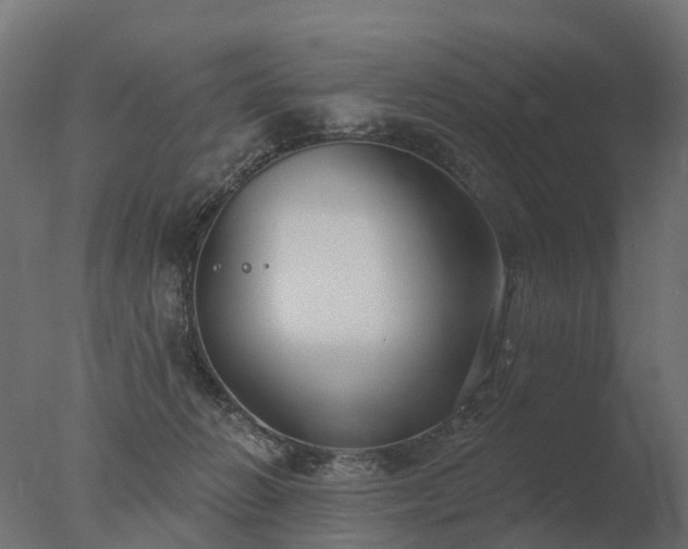 X0000077310270200610271651