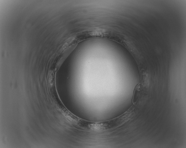 X0000077310273200610271651