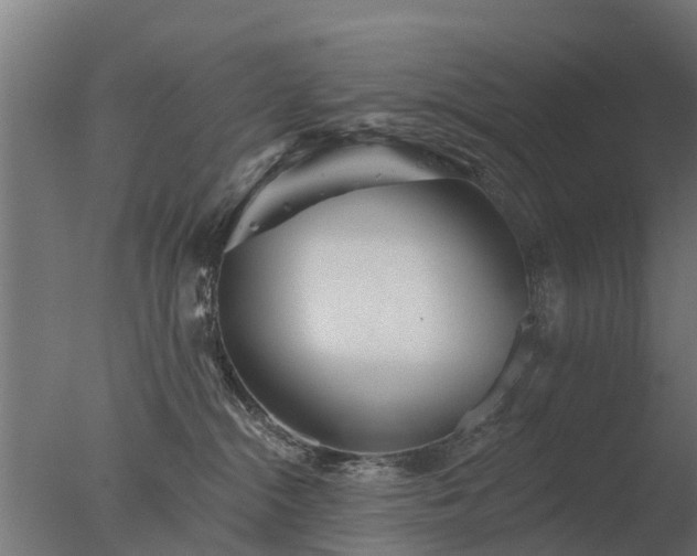 X0000077310284200610271651