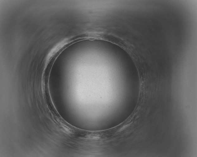 X0000077310294200610271651