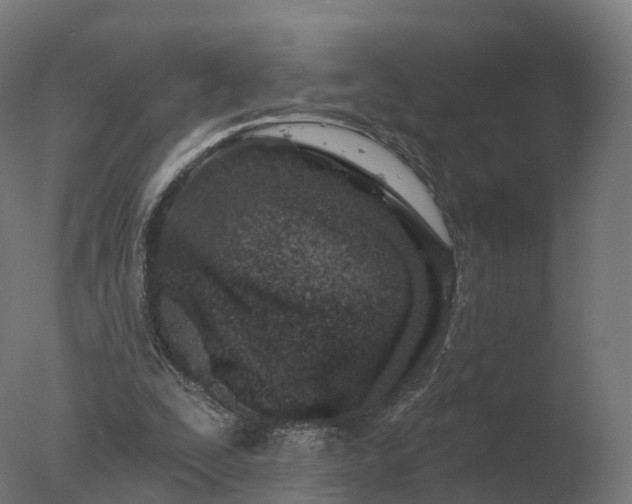 X0000077310295200610271651