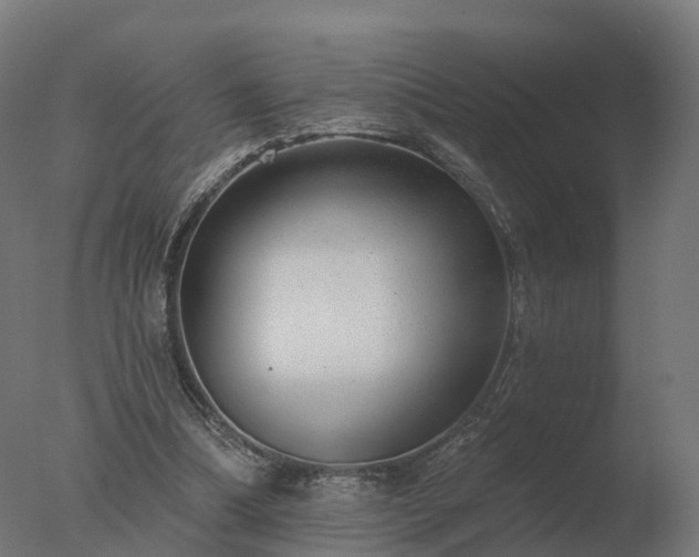 X0000077310298200610271651