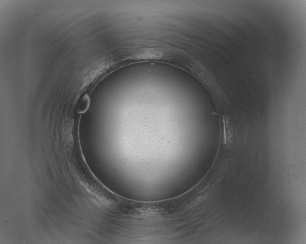 X0000077310300200610271650