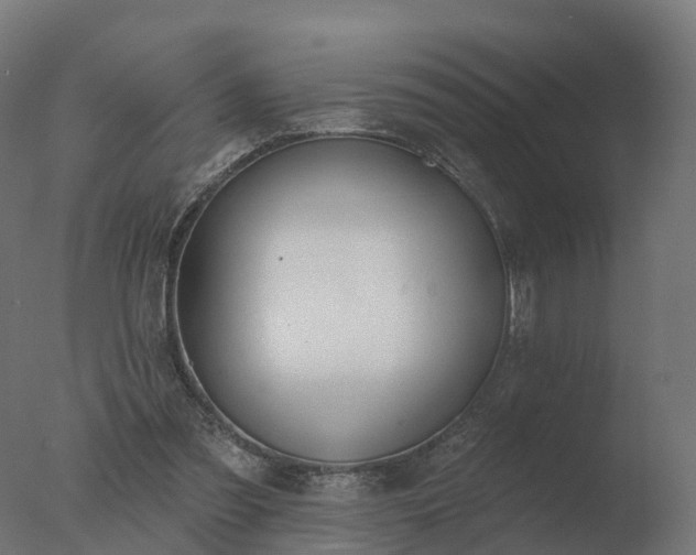 X0000077310301200610271650