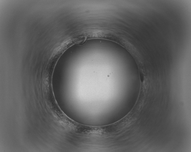 X0000077310306200610271650