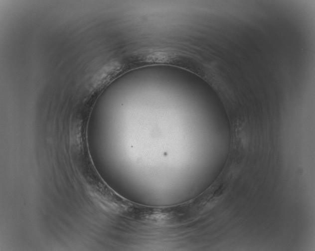 X0000077310312200610271650
