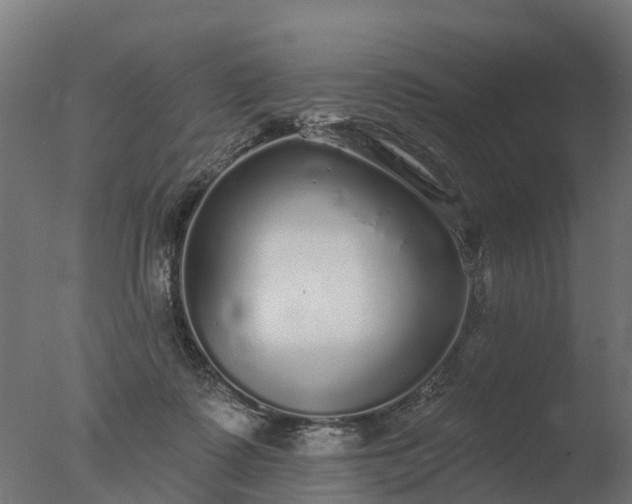 X0000077310315200610271650