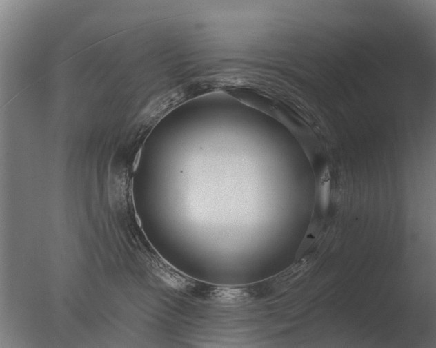 X0000077310333200610271650