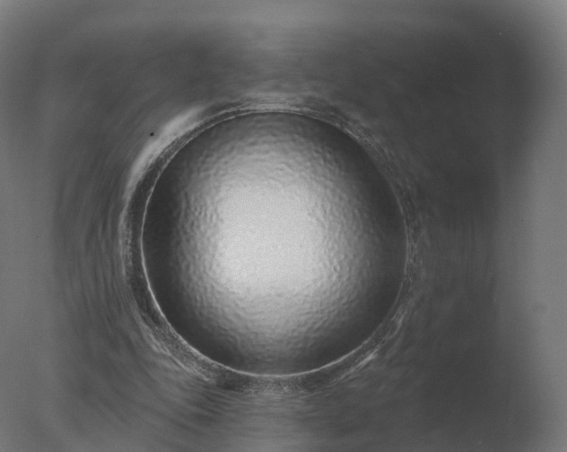 X0000077310343200610271649
