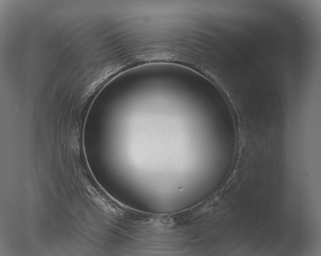 X0000077310345200610271649
