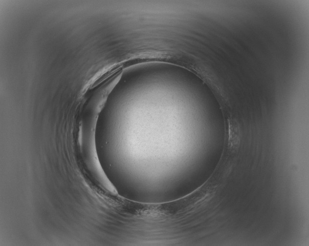 X0000077310348200610271649