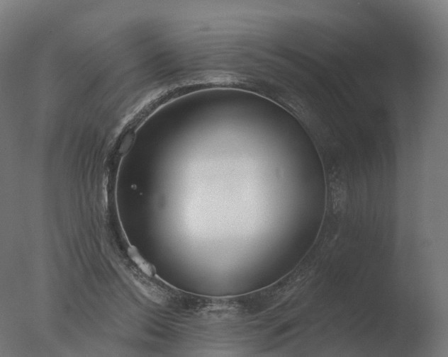 X0000077310350200610271649