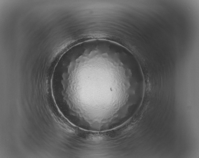 X0000077310351200610271649