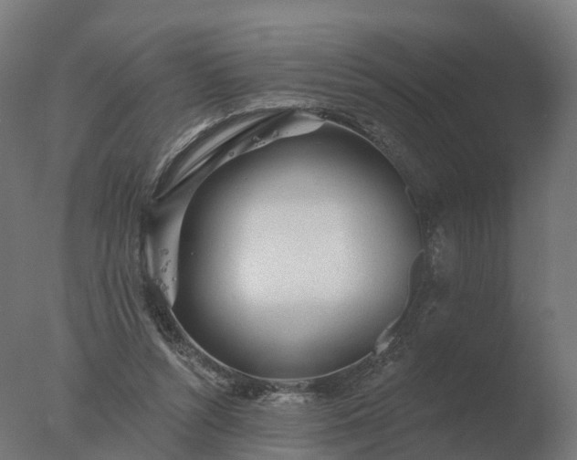 X0000077310352200610271649