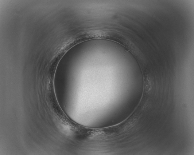 X0000077310355200610271649