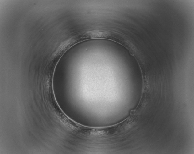 X0000077310357200610271649