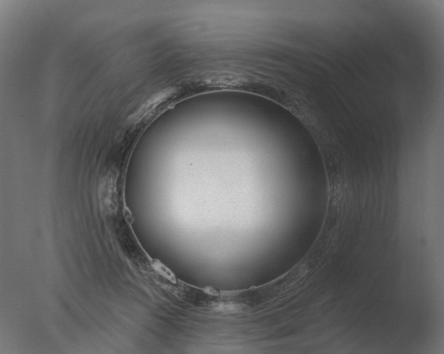 X0000077310360200610271649