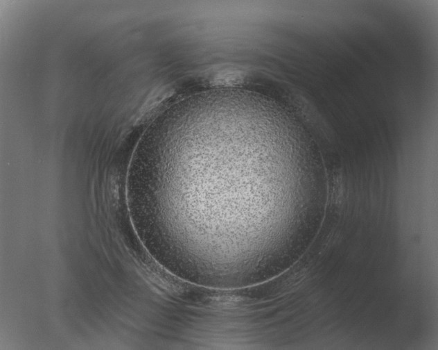 X0000077310363200610271650
