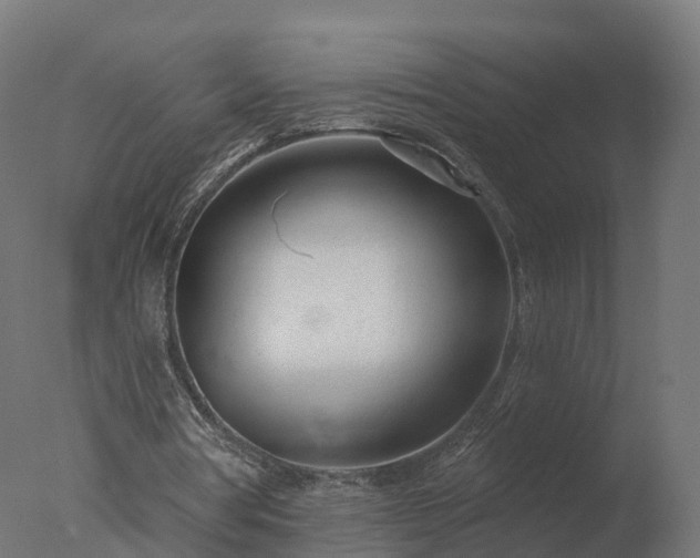 X0000077310386200610271649