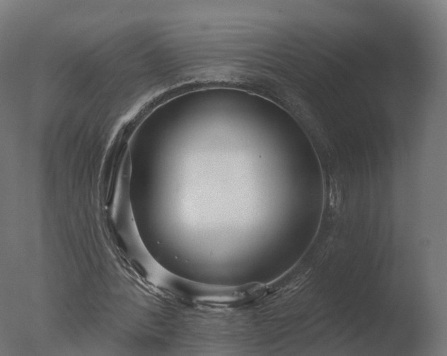 X0000077310388200610271649