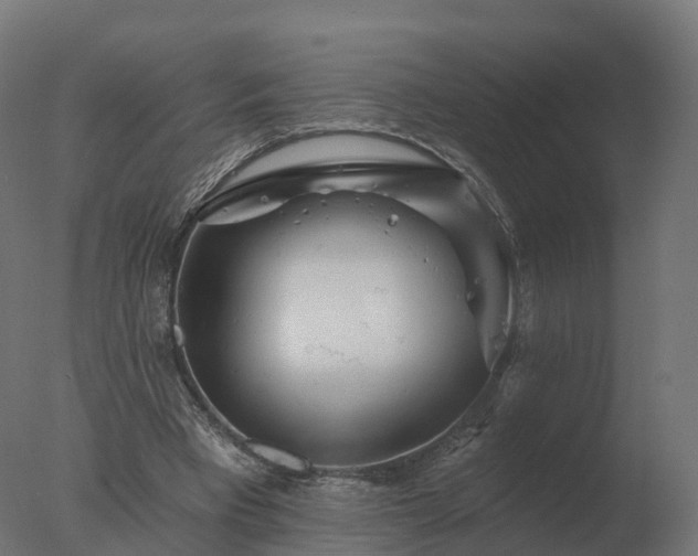 X0000077310393200610271649