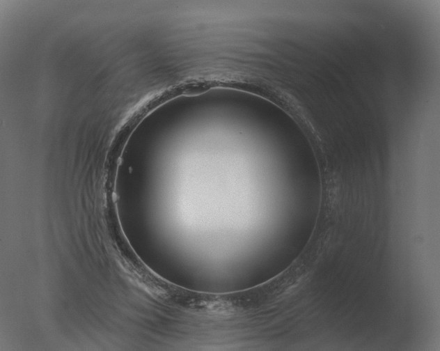 X0000077310395200610271649