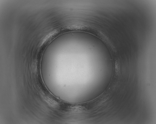 X0000077310396200610271649