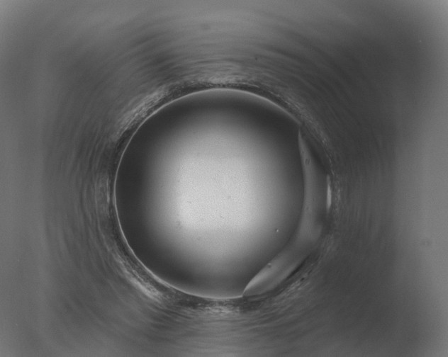 X0000077310397200610271649