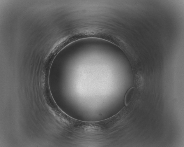 X0000077310400200610271649