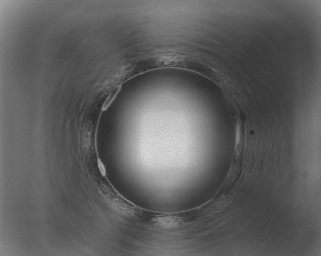 X0000077310417200610271648