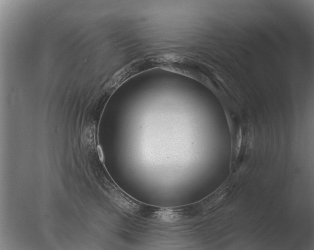 X0000077310425200610271648