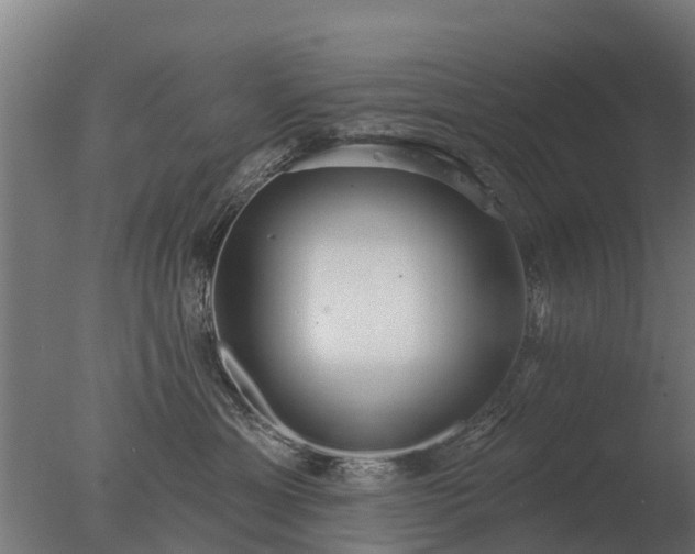 X0000077310429200610271648