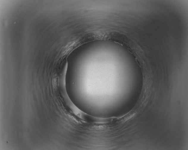 X0000077310432200610271648