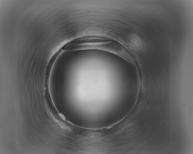 X0000077310438200610271648