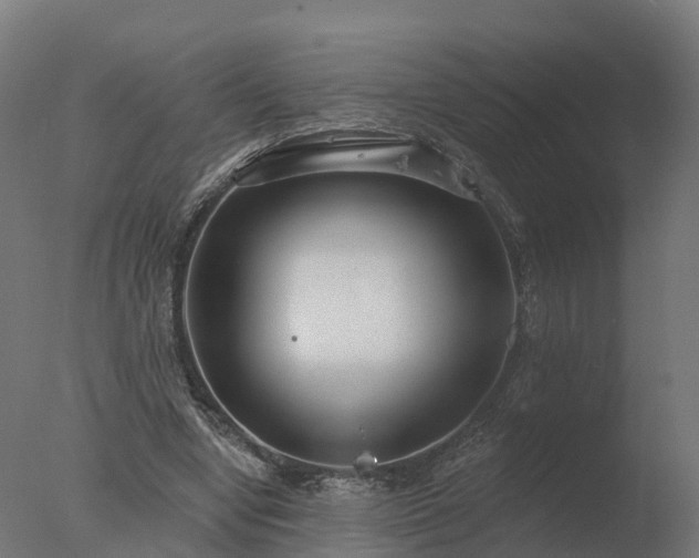 X0000077310442200610271648
