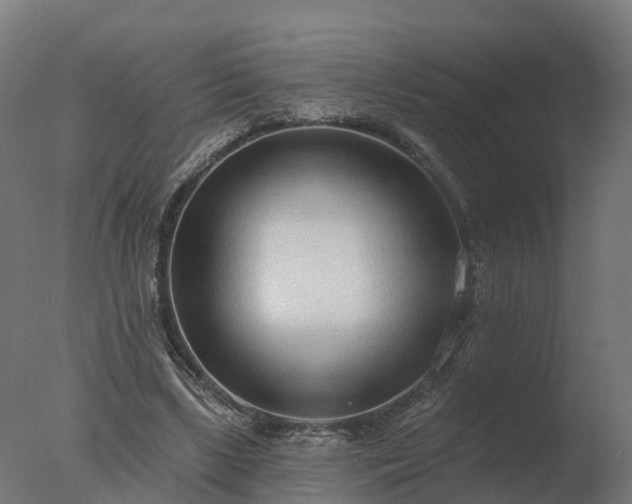 X0000077310443200610271648