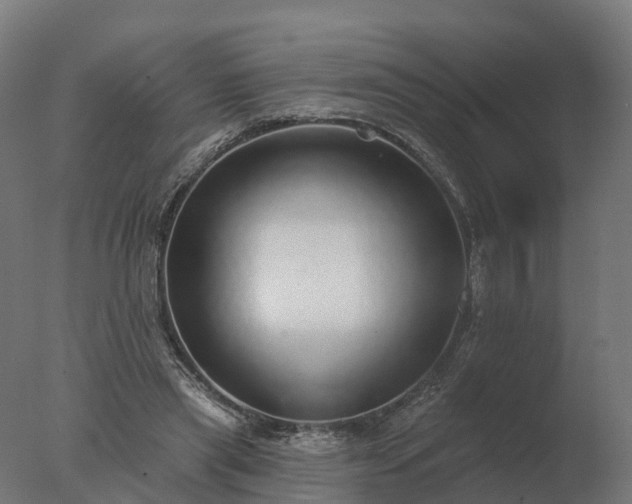 X0000077310445200610271648