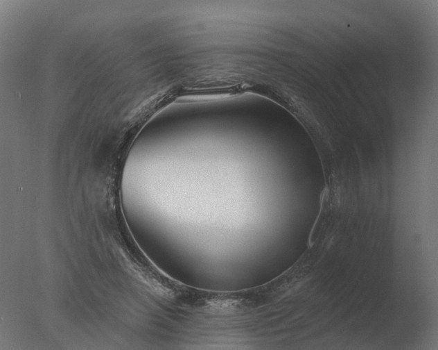 X0000077310450200610271648