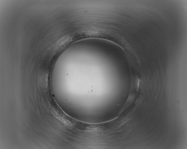 X0000077310454200610271648