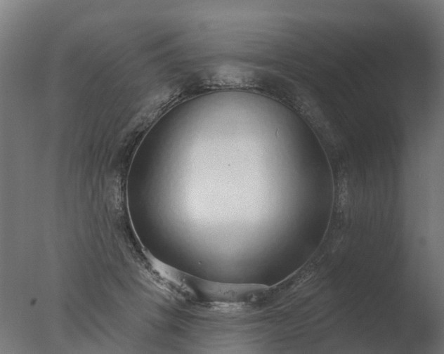 X0000077310457200610271648