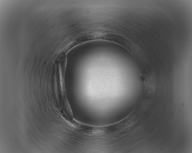 X0000077310462200610271648