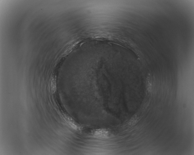 X0000077310471200610271648