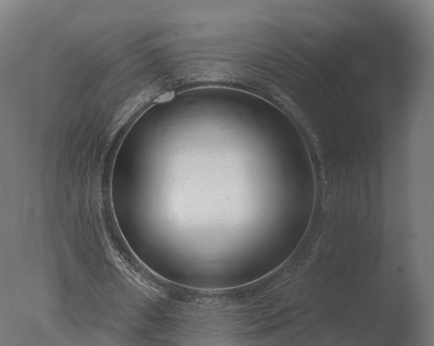 X0000077310482200610271647